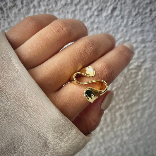ANILLO S